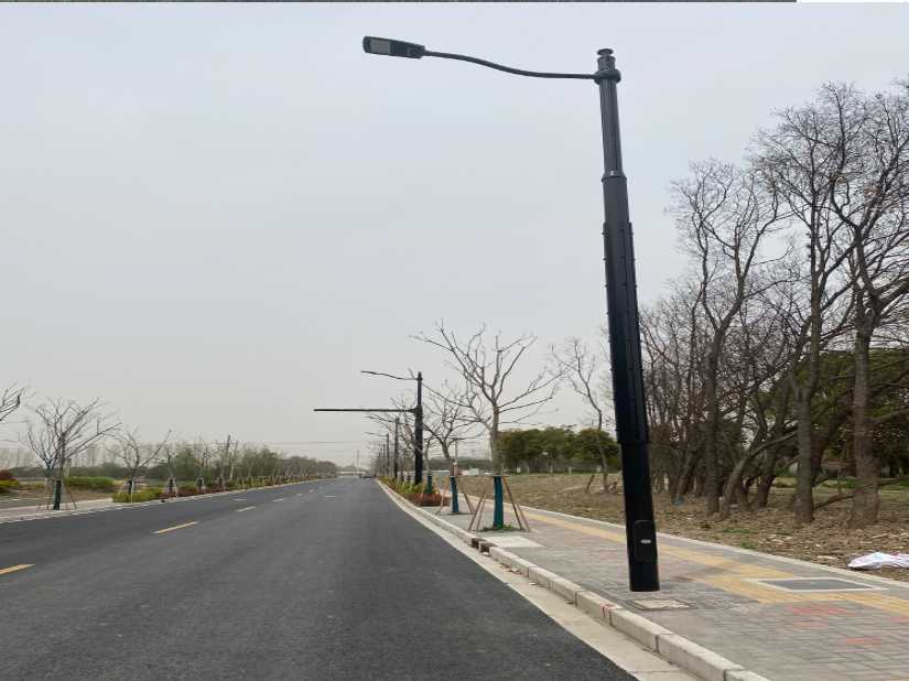 巴青县上海综合杆 太阳能路灯工程